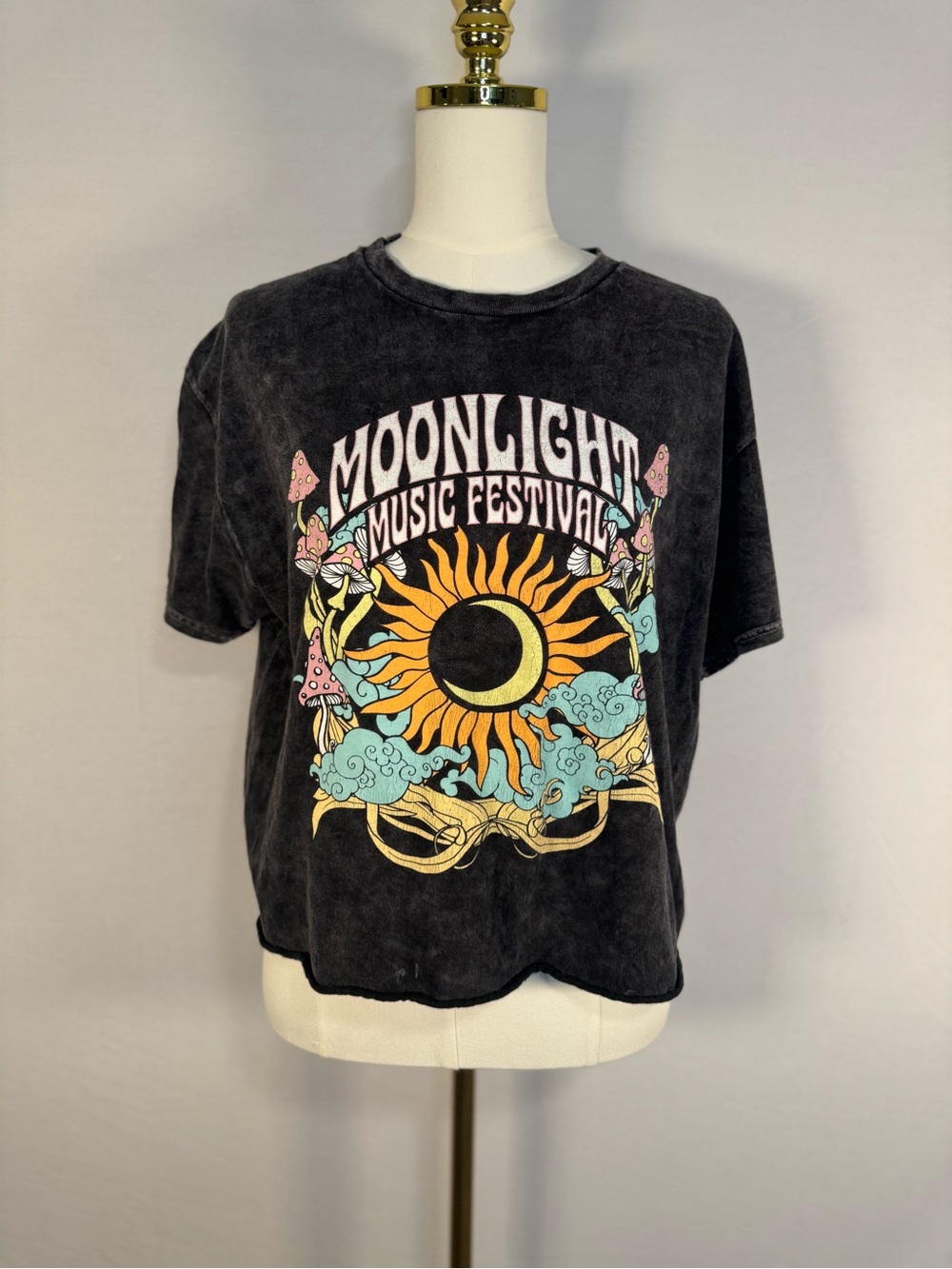 Vintage Style Slight Crop Concert Graphic Tee
